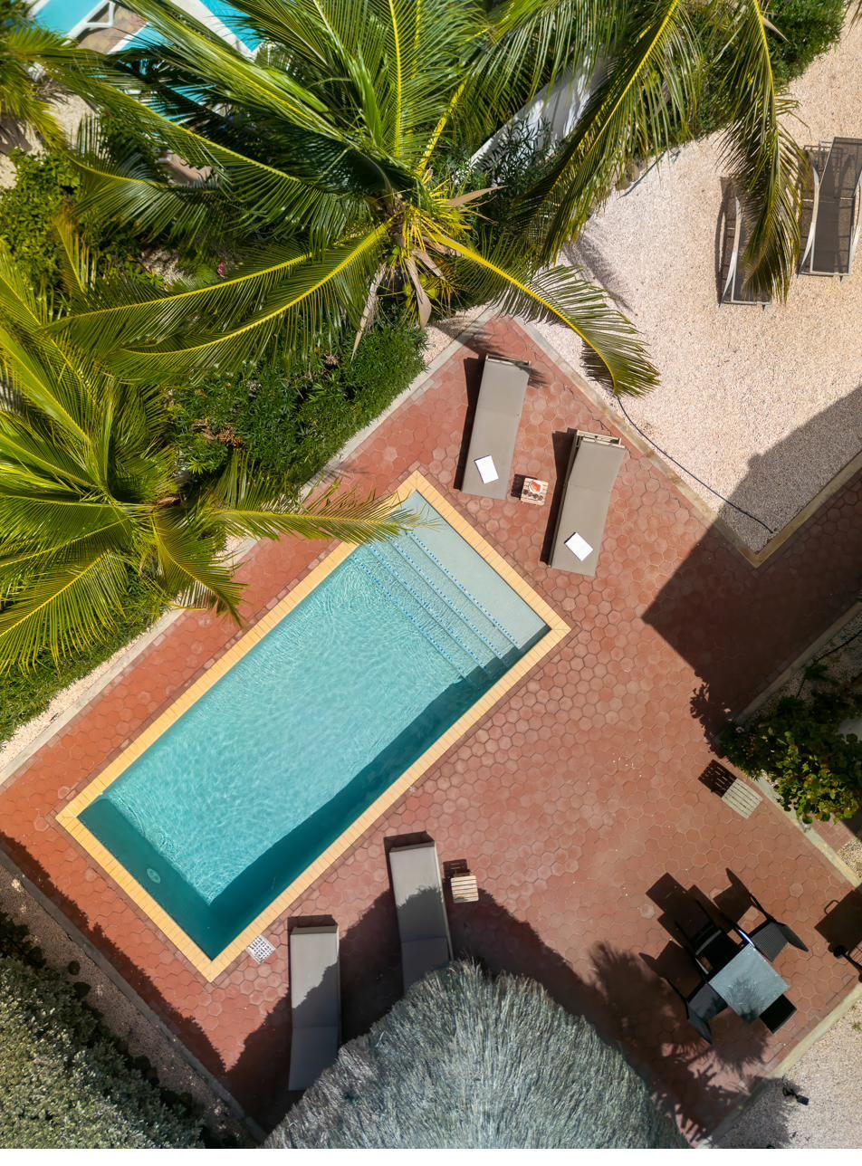 Aerial view of the private swimming pool surrounded by palms